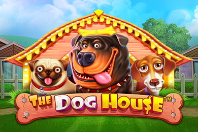 Играть в The Dog House Европа Казино